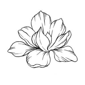 Logo Lala Beauty