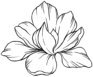 Logo Lala Beauty